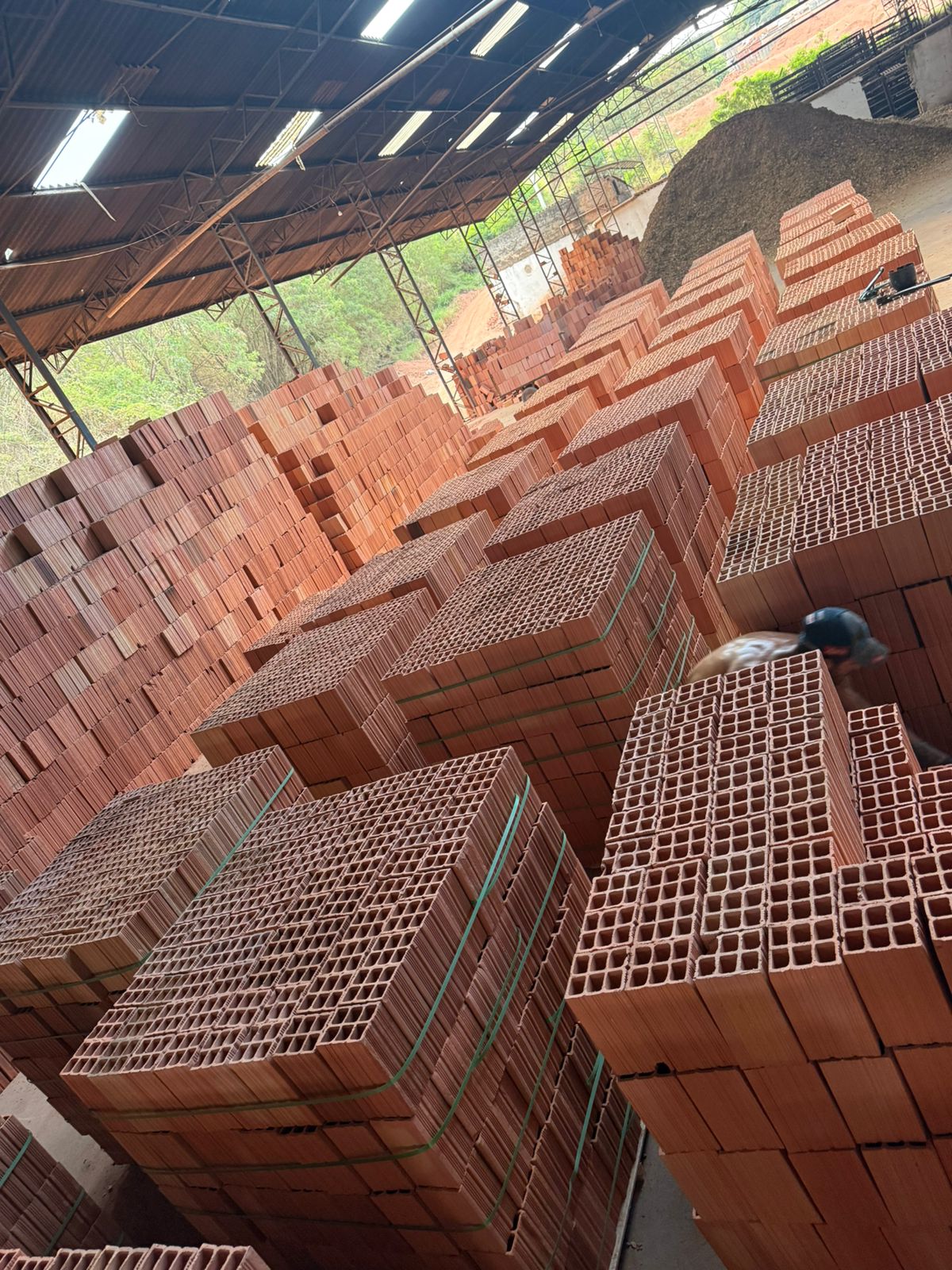 WhatsApp Image 2025-11-04 at 15.41.46 (1)