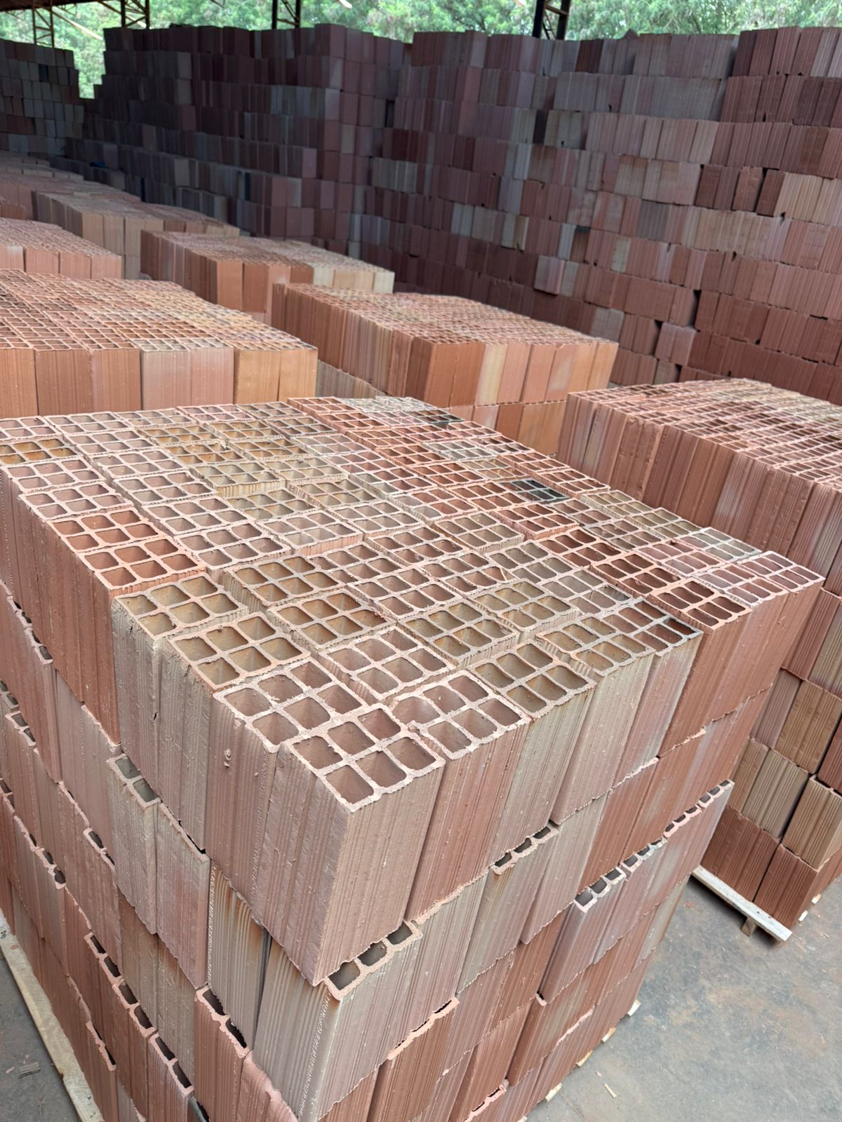 WhatsApp Image 2025-11-04 at 15.41.46 (3)