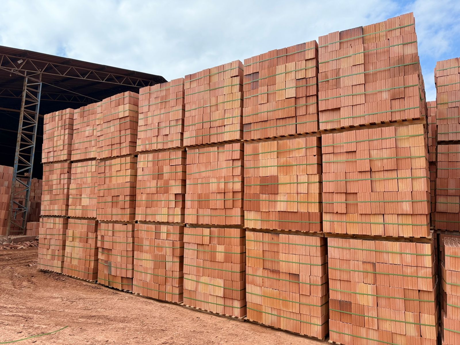 WhatsApp Image 2025-11-04 at 15.41.46